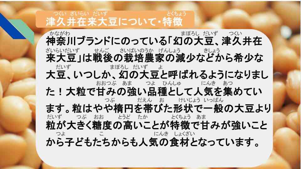 きょうのきゅうしょく - 2026-03-17T132619.624